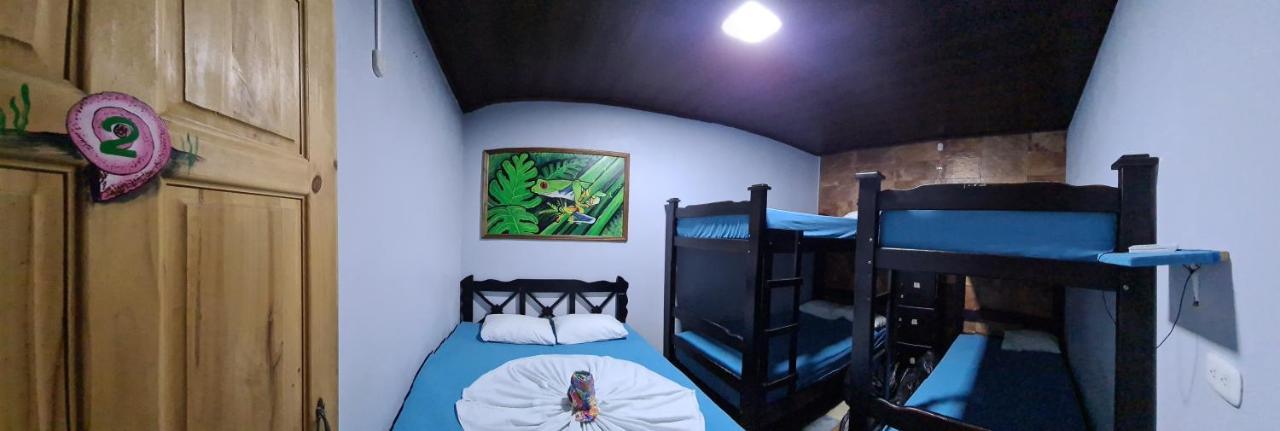 Hostel Tortuguero 7Backpackers Exteriör bild