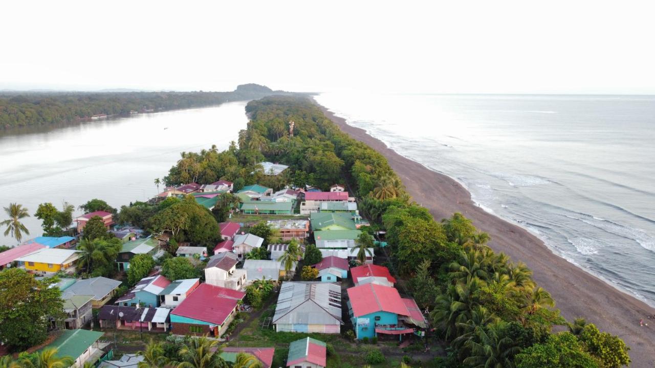 Hostel Tortuguero 7Backpackers Exteriör bild