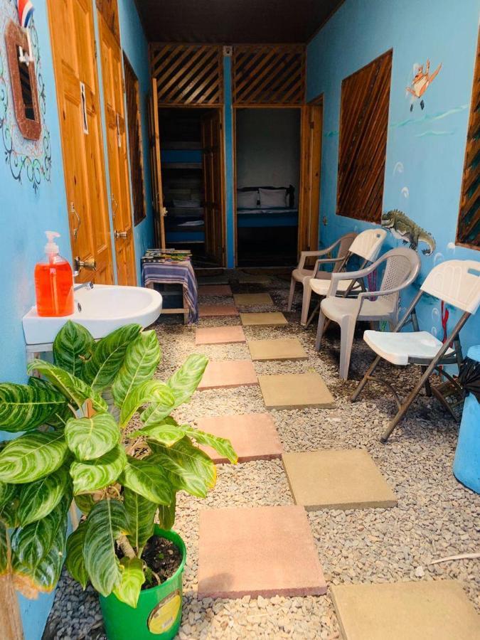 Hostel Tortuguero 7Backpackers Exteriör bild