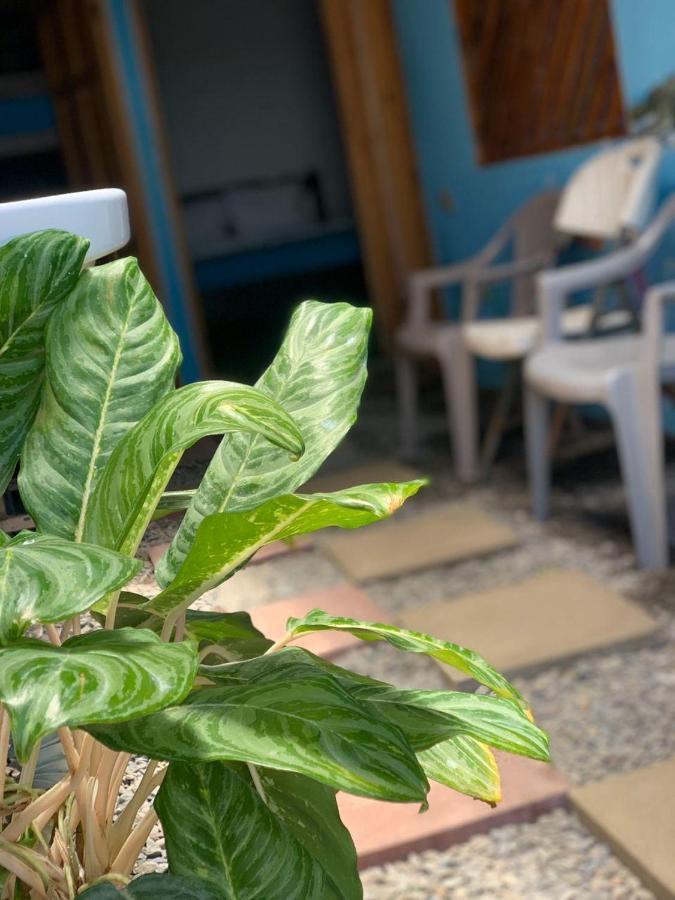 Hostel Tortuguero 7Backpackers Exteriör bild