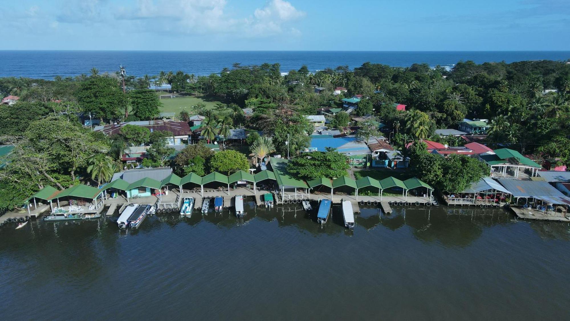 Hostel Tortuguero 7Backpackers Exteriör bild