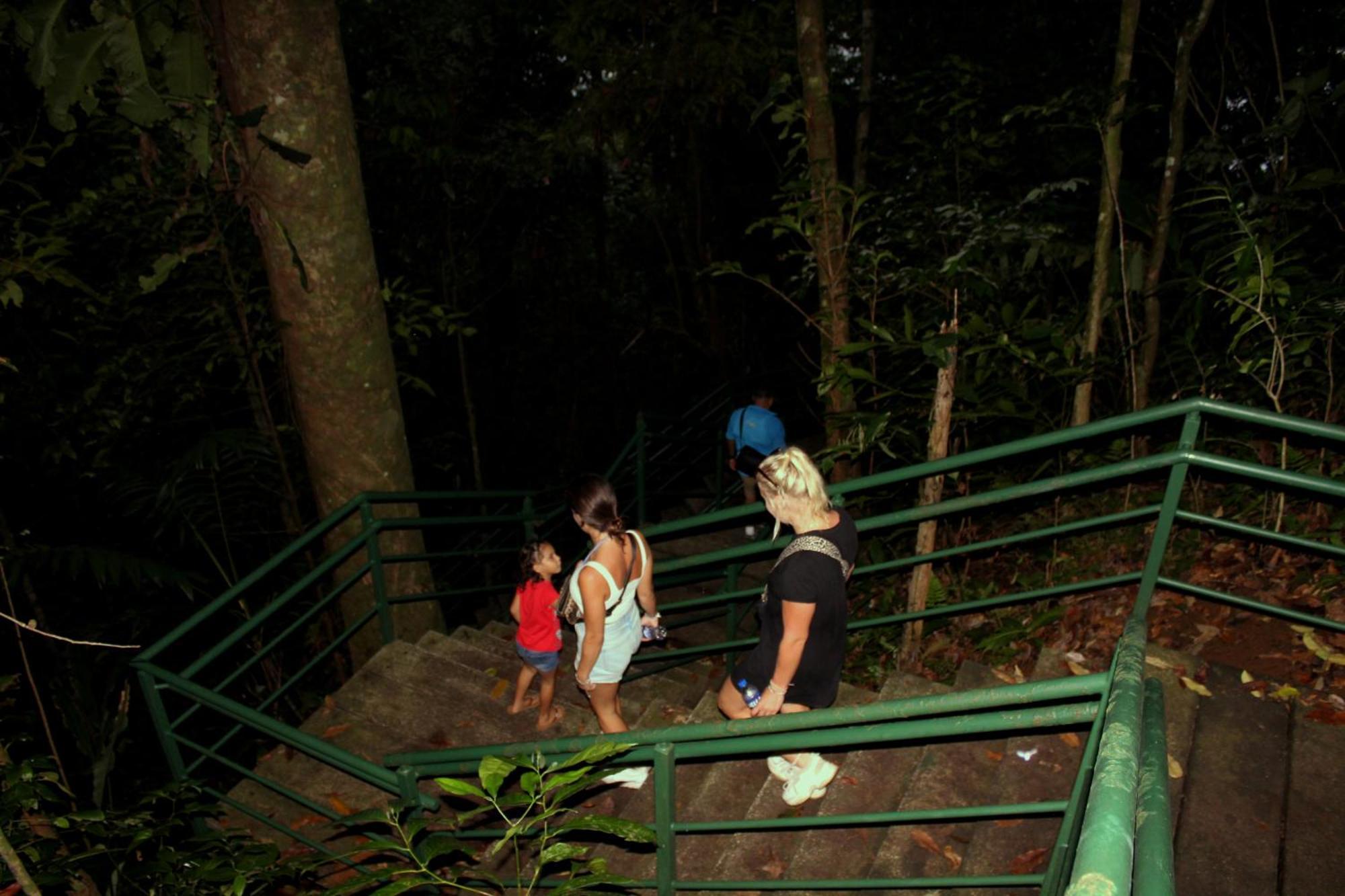 Hostel Tortuguero 7Backpackers Exteriör bild